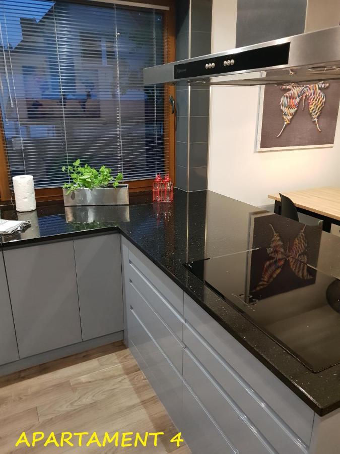 Apartamenty Amalia Szary Dwor Εξωτερικό φωτογραφία